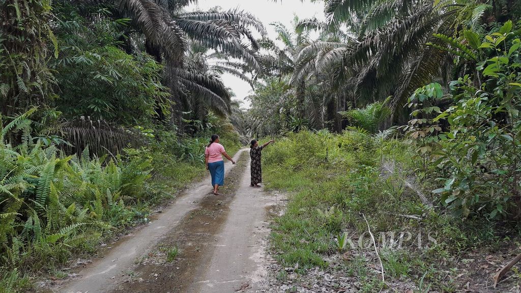 Sukemi (baju hitam) berdiri di depan kebun mereka yang merupakan tempat lokasi Aleng, suaminya, memanen buah sawit, pada Senin (19/6/2023) sore di Desa Kinjil, Kabupaten Kotawaringin Barat, Kalimantan Tengah.