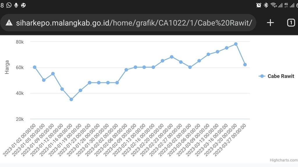 Tangkapan layar grafik fluktuasi harga cabai rawit di Kecamatan Kepanjen, Kabupaten Malang, Jawa Timur, tahun 2023, dari laman Sistem Harga Rata-rata Kebutuhan Pokok Kabupaten Malang, Rabu (29/3/2023).