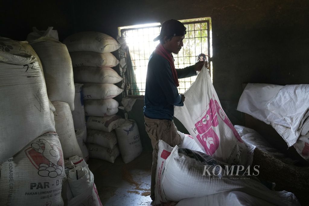 Worker activities at the rice milling business in Sukamaju Village, Tambelang District, Bekasi Regency, West Java, Tuesday (4/6/2024).    