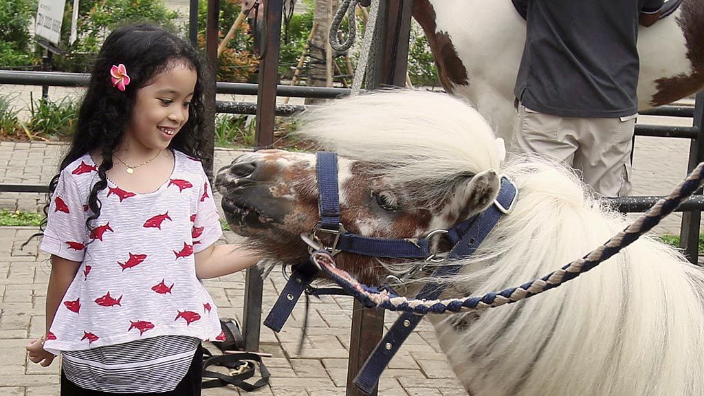  Branchsto Equestrian Park di BSD City, Pagedangan, Tangerang, Banten, Kamis (25/1).   Tempat edukasi,  wisata berkuda,  dan kursus menunggang kuda bagi masyarakat umum.
