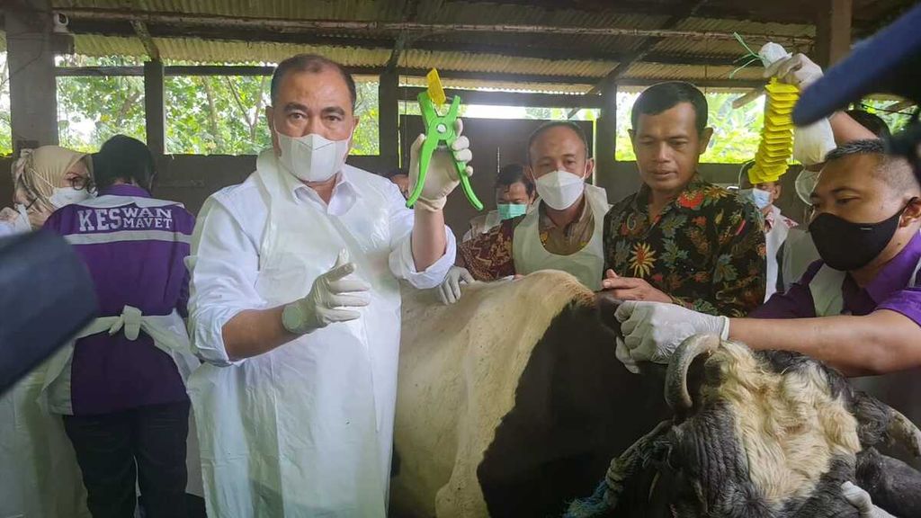 Director General of Livestock and Animal Health of the Indonesian Ministry of Agriculture Nasrullah during the first vaccination for mouth and nail disease in Sidoarjo, East Java, Tuesday (14/6/2022).