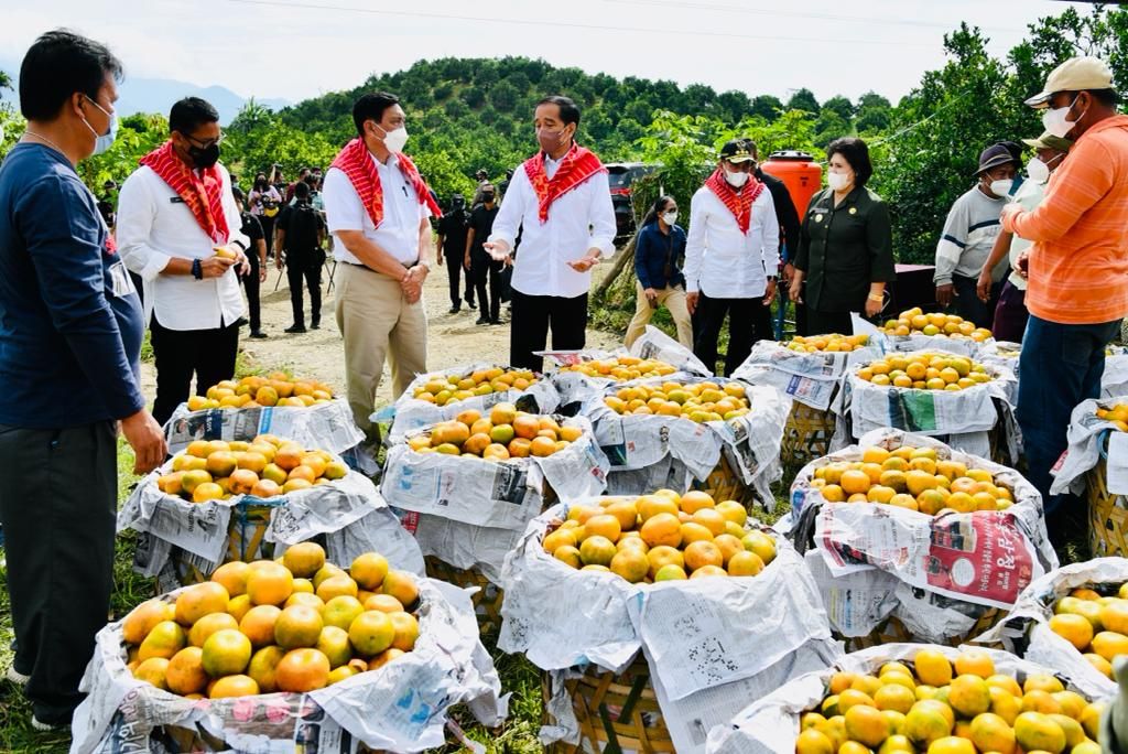 Presiden Joko Widodo meninjau kegiatan penanganan Jalan Liang Melas Datas, Kabupaten Karo, Provinsi Sumatera Utara, yang merupakan akses menuju kawasan penghasil jeruk, Kampung Jeruk, Jumat (4/2/2022).