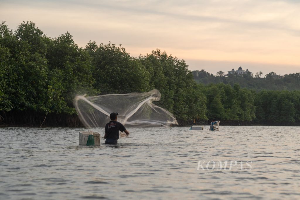 Nelayan menjala udang di kawasan Rehabilitasi Hutan dan Lahan (RHL) Tanjung Piayu, Batam, Kepulauan Riau, Senin (21/2/2022).