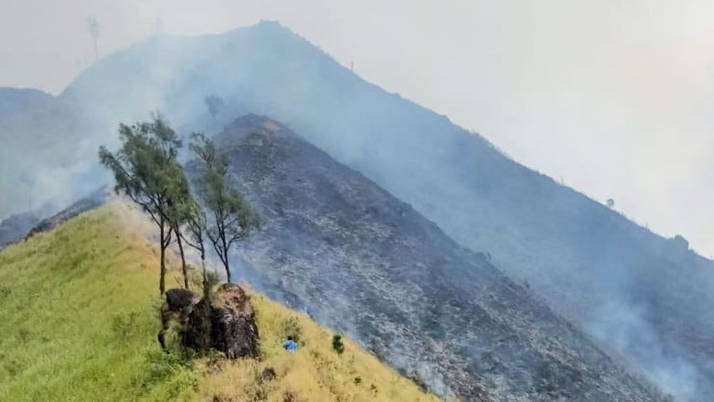 Kondisi kebakaran lahan di lereng Gunung Arjuno di Kabupaten Malang, Jawa Timur, Minggu (28/8/2023)
