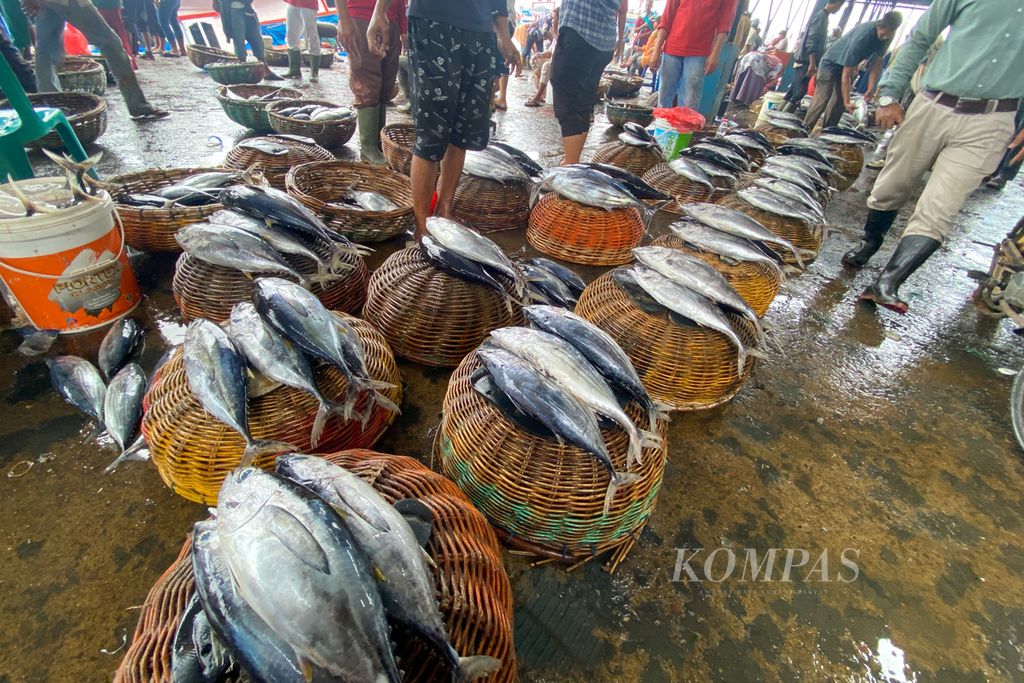 Ragam jenis ikan hasil tangkapan ditata agar mudah diakses oleh pembeli di Pelabuhan Perikanan Samudera Lampulo Kota Banda Aceh, Aceh, Minggu (3/12/2023). Adapun komoditas unggulan perikanan Aceh adalah tuna, tongkol, dan cakalang.