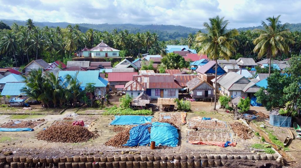 Lokasi penjemuran kelapa warga di Desa Sukarela Jaya, Wawonii Tenggara, Konawe Kepulauan, Kamis (1/6/2023). Potensi kelapa di wilayah ini sangat tinggi, tetapi belum dikelola maksimal. Warga berdaya dari perkebunan di tengah impitan pertambangan yang beroperasi di wilayah ini.