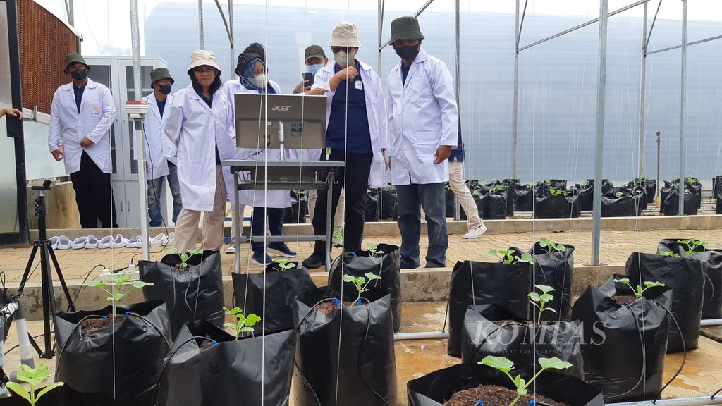 Tim peneliti meninjau budidaya melon di rumah kaca berbasis sistem pertanian pintar di Kebun Raya Itera, Kabupaten Lampung Selatan, Lampung, Selasa (13/12/2022). 