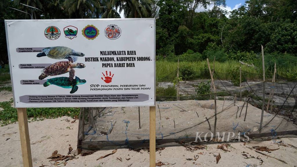 Tempat penetasan telur penyu di pesisir Kampung Malaumkarta, Distrik Makbon, Kabupaten Sorong, Papua Barat Daya, Senin (5/6/2023).