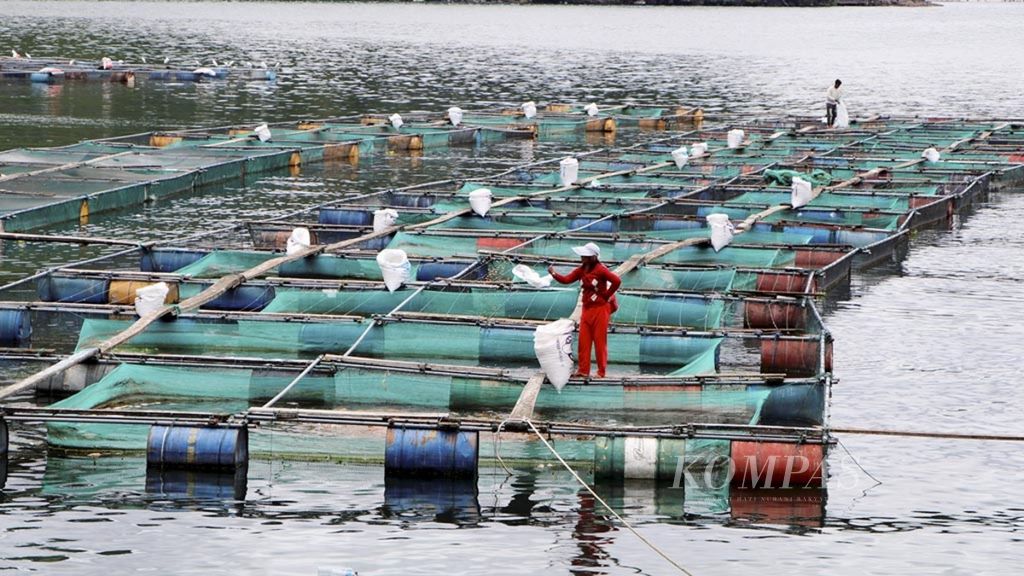 Petani ikan memberi pakan di keramba jaring apung di perairan Danau Toba di Kecamatan Girsang Sipangan Bolon, Kabupaten Simalungun, Sumatera Utara. Foto diambil beberapa waktu lalu.