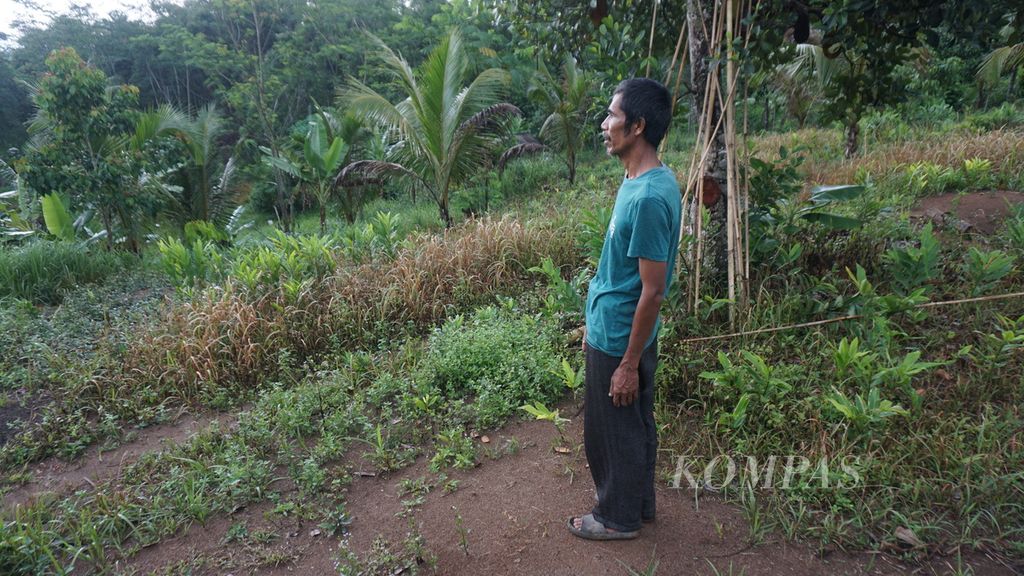 Salah seorang petani dari Desa Gunung Anten, Kecamatan Cimarga, Kabupaten Lebak, Banten, Minggu (7/1/2024), menunjukkan lahan yang akan dikembangkan untuk agrowisata. Sejumlah petani di Desa Gunung Anten telah mendapat redistribusi tanah sebagai realisasi program reforma agraria pada Oktober 2023.