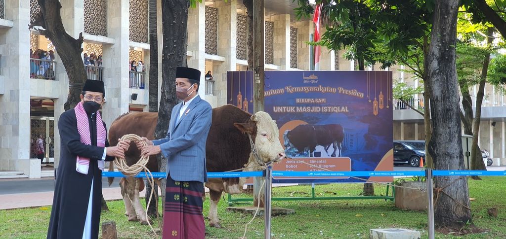Presiden Joko Widodo secara resmi menyerahkan kurban berupa sapi Simmental dengan bobot 1,2 ton kepada Imam Besar Masjid Istiqlal Nasaruddin Umar, Minggu (10/7/2022).