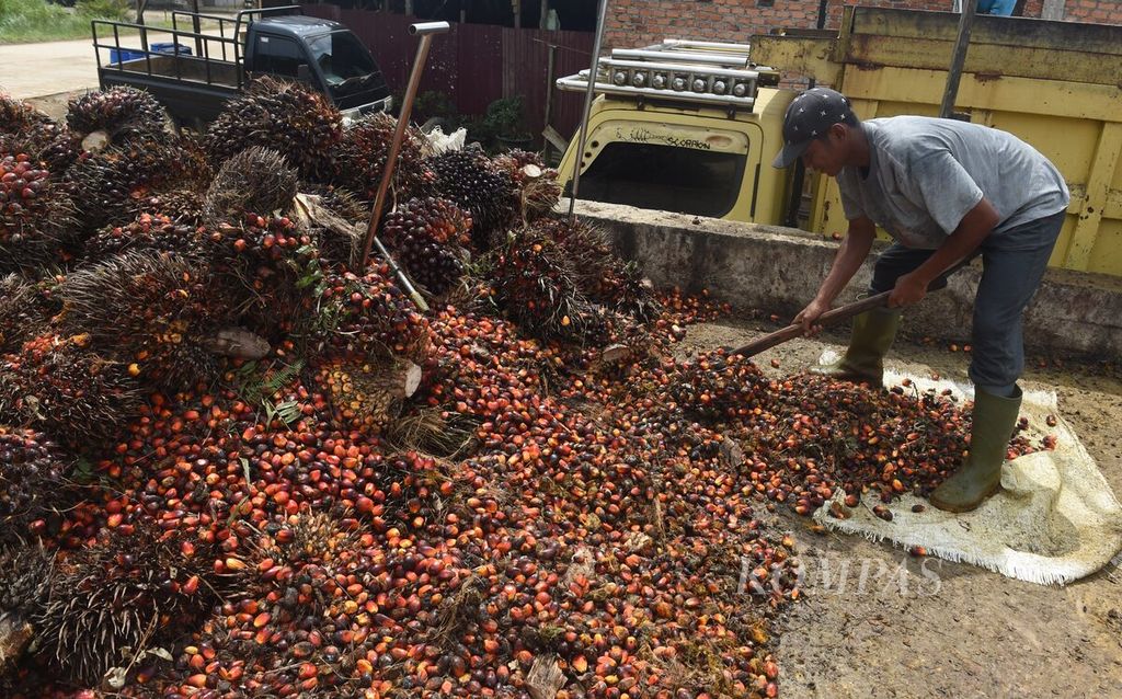 Pekerja memasukkan kelapa sawit ke atas truk untuk dikirim ke pabrik di Desa Bukit Raya, Kecamatan Sepaku, Kabupaten Penajam Paser Utara, Kalimantan Timur, Rabu (27/7/2022).
