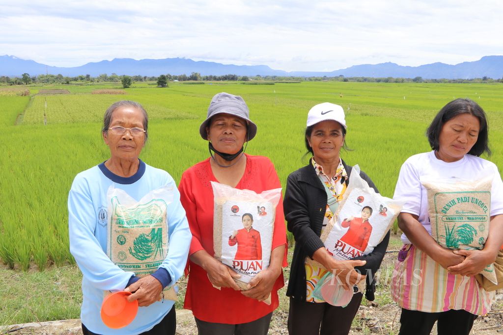 Petani menunjukkan benih padi unggul yang diberikan oleh Ketua DPR RI Puan Maharani di Desa Baruara, Kecamatan Balige, Toba, Jumat (2/9/2022). Namun, menanam padi terganjal langkanya pupuk bersubsidi.