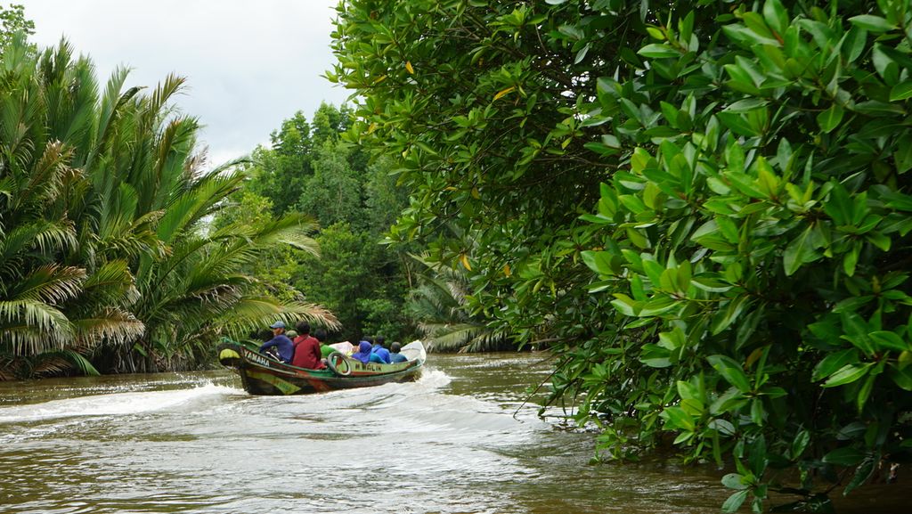 Sebuah perahu cepat berlayar di tengah hutan mangrove yang terletak di Kecamatan Tulung Selapan, Kabupaten Ogan Komering Ilir, Sumatera Selatan, Rabu (16/11/2022). Keberadaan hutan mangrove di sana terancam pembukaan tambak tradisional. Pengelolaan tambang berkonsep ramah lingkungan mulai dicanangkan untuk mengembalikan fungsi hutan bakau di sana.