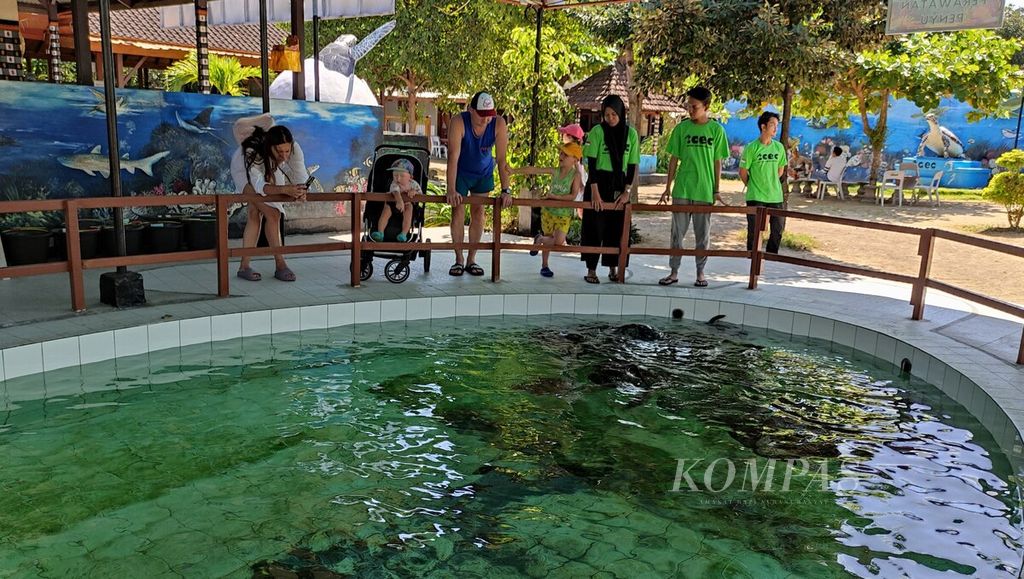 Wisatawan mengunjungi Turtle Conservation and Education Center (TCEC) Serangan, yakni pusat konservasi dan edukasi penyu di Kelurahan Serangan, Kota Denpasar, Senin (29/5/2023). Kelurahan Serangan memiliki potensi desa wisata, seperti wisata edukasi dan wisata bahari. 