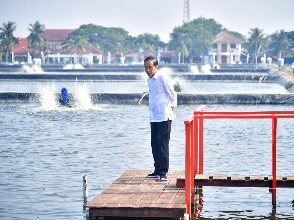 Presiden Joko Widodo meresmikan model kawasan tambak budidaya ikan nila salin di Balai Layanan Usaha Produksi Perikanan Budidaya Desa Pusakajaya Utara, Kabupaten Karawang, Jawa Barat, Rabu (8/5/2024).