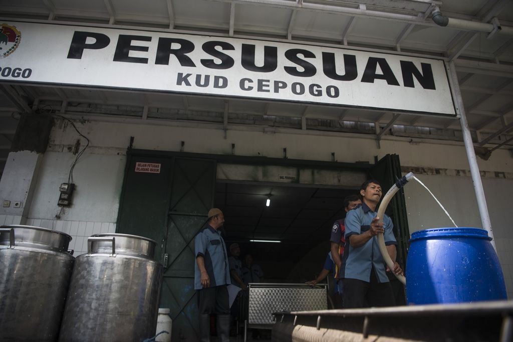 Officials are milking the dairy cows that farmers delivered to the Persusuan installation of the Desa Unit Cooperative (KUD) in Cepogo District, Boyolali, Central Java on Monday (10/7/2019). At least 11,000 liters of dairy milk are delivered by farmers to the location every day.