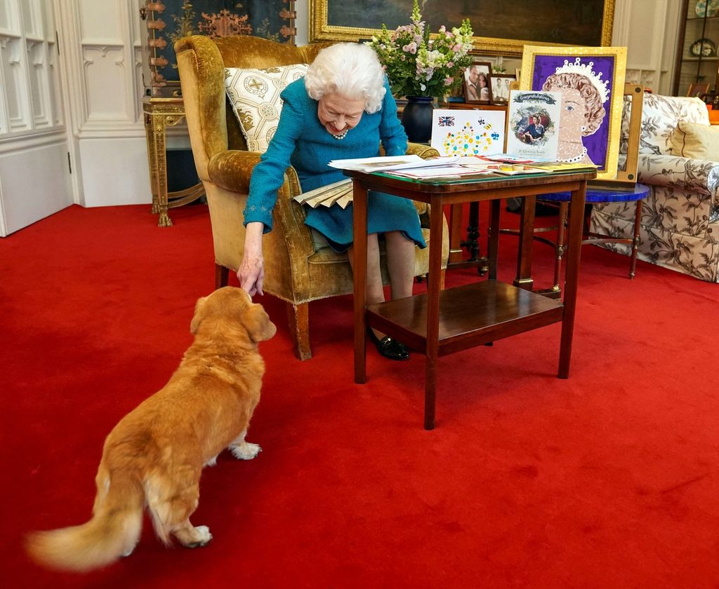 Ratu Inggris Elizabeth II membelai Candy, anjing yang dipeliharanya, saat ia melihat-lihat berbagai cendera mata perayaan masa kekuasaannya ke-70 dan ke-50, di Oak Room, Istana Windsor, London, Januari 2022.