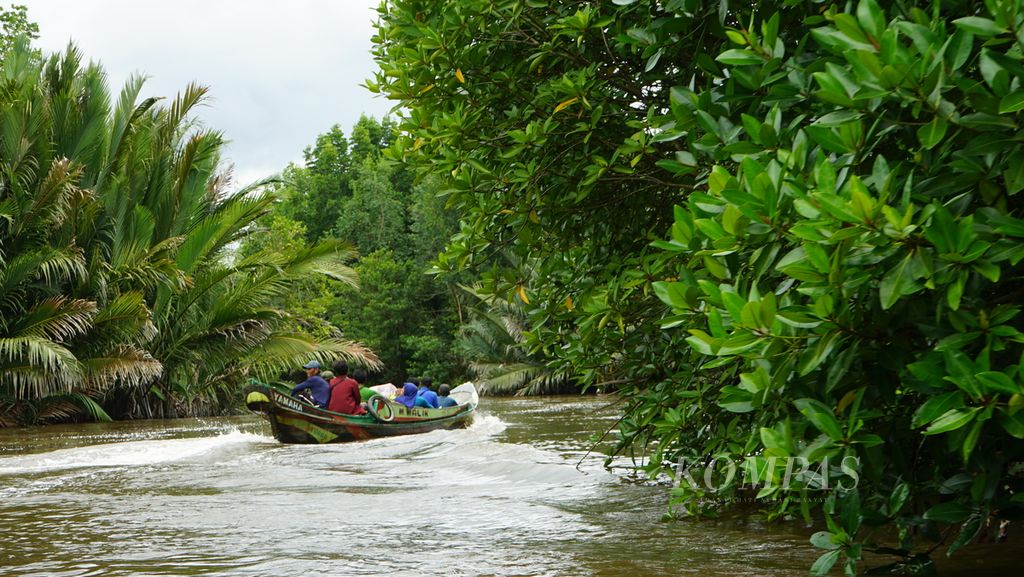 Perahu cepat berlayar di tengah hutan mangrove di Kecamatan Tulung Selapan, Kabupaten Ogan Komering Ilir, Sumatera Selatan, Rabu (16/11/2022). Keberadaan hutan mangrove di wilayah itu terancam pembukaan tambak tradisional. Pengelolaan tambang berkonsep ramah lingkungan mulai dicanangkan untuk mengembalikan fungsi hutan bakau.
