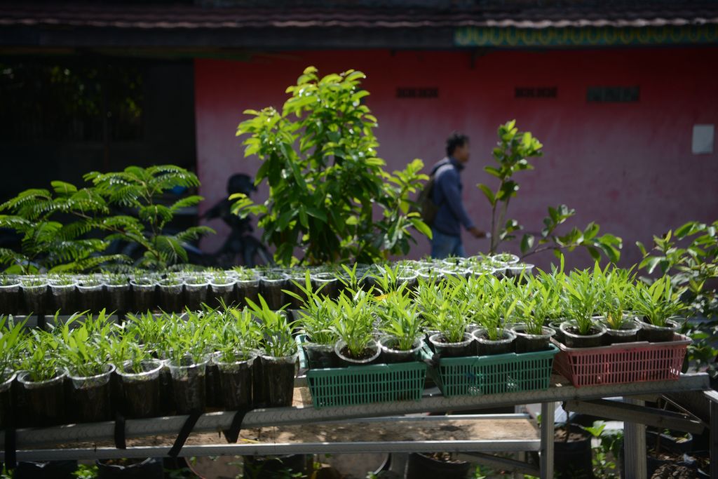 Bermacam jenis sayur ditanam di kebun Kawasan Rumah Pangan Lestari (KRPL) yang dikelola Kelompok Wanita Tani Dahlia 9 di Kelurahan Pucangsawit, Jebres, Solo, Jawa Tengah, Senin (7/9/2020). 