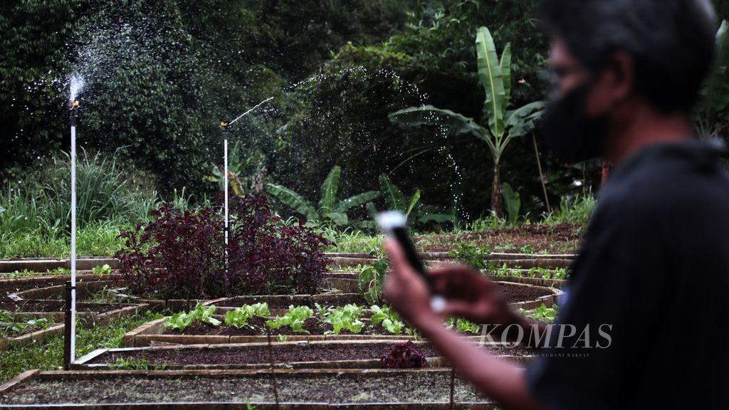 Penyiraman tanaman di lahan pertanian Kelompok Wanita Tani (KWT) Tani Asri GWKP di Kompleks Griya Wana Karya Permai, Bubulak, Bogor, dengan menerapkan pengendali jarak jauh melalui gawai, Minggu (27/2/2022). Tempat lahan pertanian KWT itu jadi proyek percontohan penerapan Smart Farming KWT di Jawa Barat. 