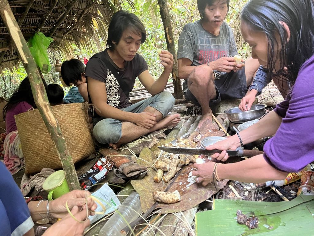 Masyarakat Punan Batu tengah makan umbi-umbian keriting yang didapatkan dari Hutan Benau Sajau, yang menjadi ruang hidup mereka, Jumat (2/6/2023).