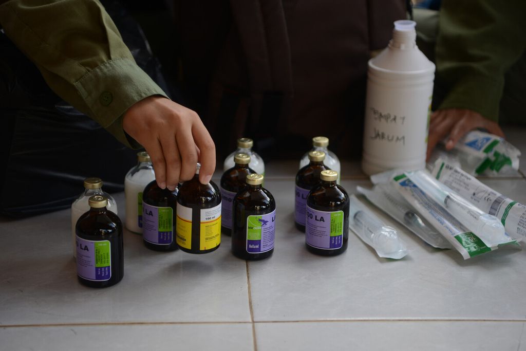 Mahasiswa membantu menata vaksin antraks yang akan disuntikkan pada hewan ternak sapi dan kambing di Desa Dadapayu, Kecamatan Semanu, Kabupaten Gunung Kidul, DI Yogyakarta, Rabu (22/1/2020). 
