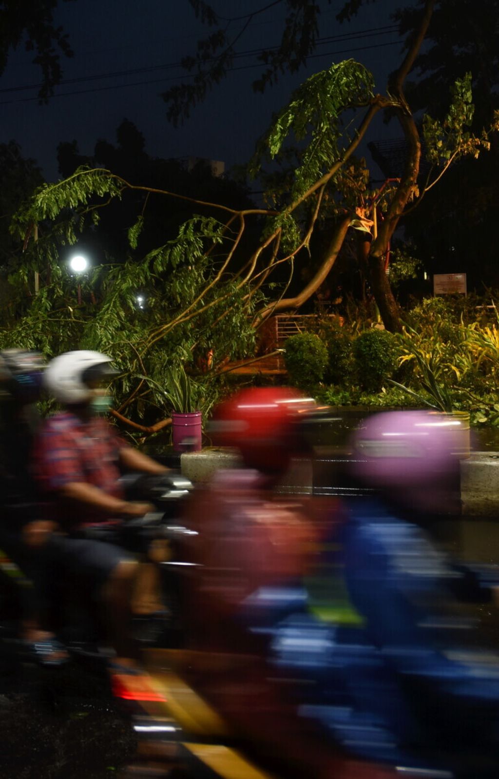 Warga melewati pohon tumbang yang menutup ruas Jalan Keputran, Surabaya, seusai hujan disertai angin kencang, Senin (6/1/2020). Dua hari berturut-turut Surabaya diterpa hujan disertai angin kencang pada sore hari. Dalam kejadian tersebut, dua warga tewas tertimpa pohon.