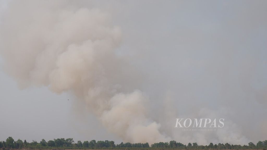 Kebakaran lahan di Jejangkit, Kabupaten Barito Kuala, Kalimantan Selatan, Kamis (4/10/2018). Pantauan satelit Terra, Aqua, dan Suomi NPP, pada hari itu ada 154 titik panas di wilayah Kalsel. Sebanyak 12 titik di antaranya berada di Jejangkit.