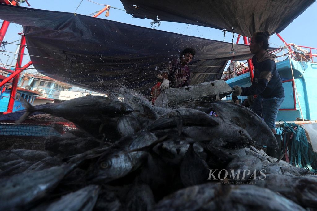Pekerja membongkar ikan tuna hasil tangkapan di Pelabuhan Perikanan Samudera Nizam Zachman, Muara Baru, Jakarta, Jumat (17/9/2021). 
