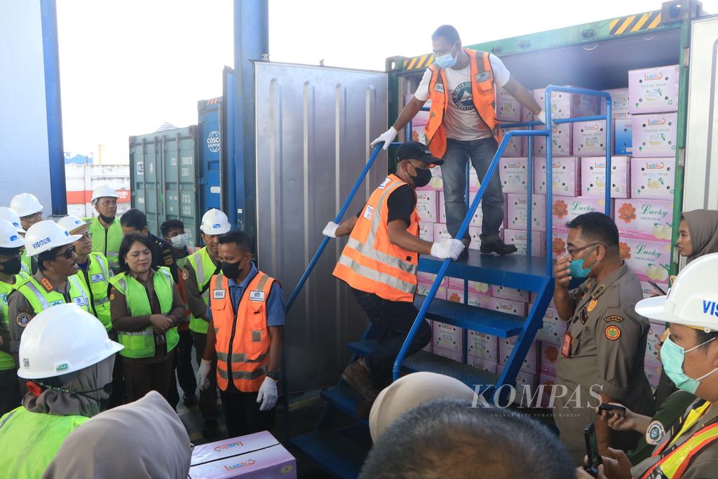 Kepala Badan Karantina Pertanian Bambang (kiri) memeriksa buah pir yang impor di Tempat Pemeriksaan Fisik Terpadu Pelabuhan Belawan, Medan, Sumatera Utara, Sabtu (8/4/2023). 