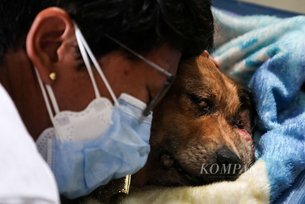 Bernadetta Vitri mencium Timbul, anjing peliharaannya, sebelum dikremasi di Von Briss House Dog Care, Tajur Halang, Bogor, Jawa Barat, Minggu (11/7/2021). 