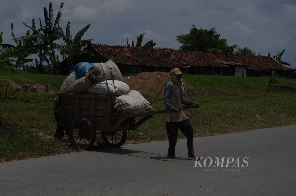 Petani membawa gabah panenan mereka dari sawah menuju ke rumahnya di Desa Lambangan, Kecamatan Undaan, Kudus, Jawa Tengah, Minggu (25/2/2024). 