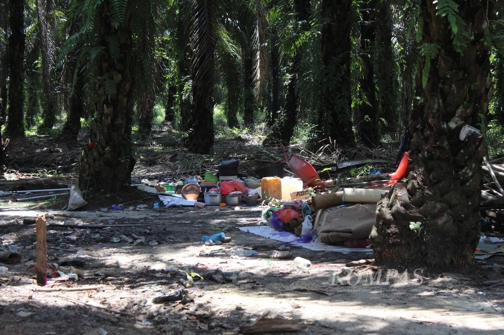 Sisa-sisa pondok warga yang mengkaim lahannya di tengah perkebunan sawit, di Desa Sebabi, Kabupaten Kotawaringin Timur, Kalimantan Tengah, Rabu (8/5/2024).