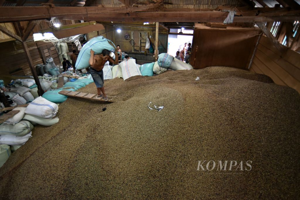 Buruh angkut mengangkat karung biji kopi kering yang baru dibeli dari petani menuju ke gunungan biji kopi kering di Gudang Kopi Tomo, Pagar Alam Selatan, Kota Pagar Alam, Sumsel, Rabu (3/7/2024).