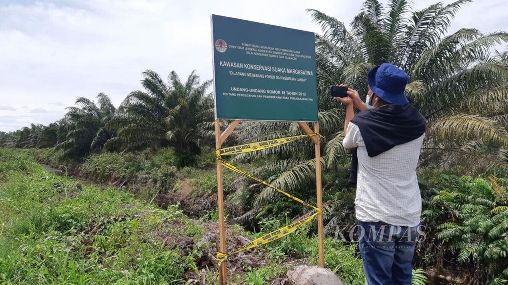 Kawasan konservasi gambut Suaka Margasatwa Rawa Singkil di Kecamatan Trumon, Kabupaten Aceh Selatan, Aceh dirambah untuk ditanami kelapa sawit, seperti terlihat pada Minggu (24/10/2021).