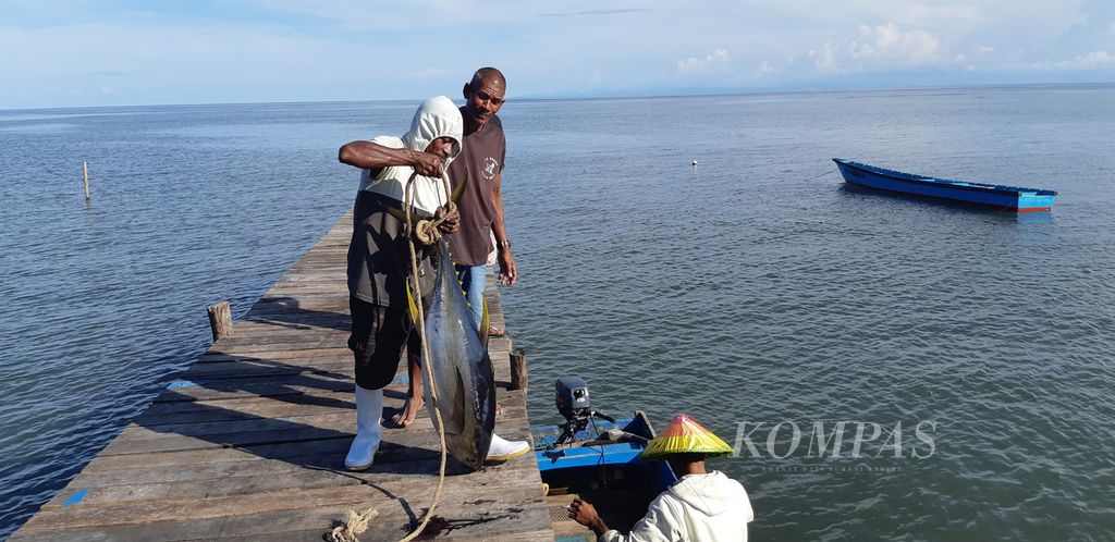 Desa Sangowo di Kecamatan Morotai Timur, Kabupaten Pulau Morotai, Maluku Utara, dikenal sebagai salah satu perkampungan nelayan di Morotai. Tampak tuna berukuran cukup besar baru saja diangkat dari perahu, Rabu (27/7/2022).