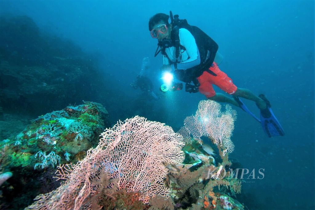 Penyelaman di pura bawah laut yang didirikan pada kedalaman 30 meter di bawah permukaan laut di perairan Desa Pemuteran, Kecamatan Gerokgak, Buleleng, Bali.