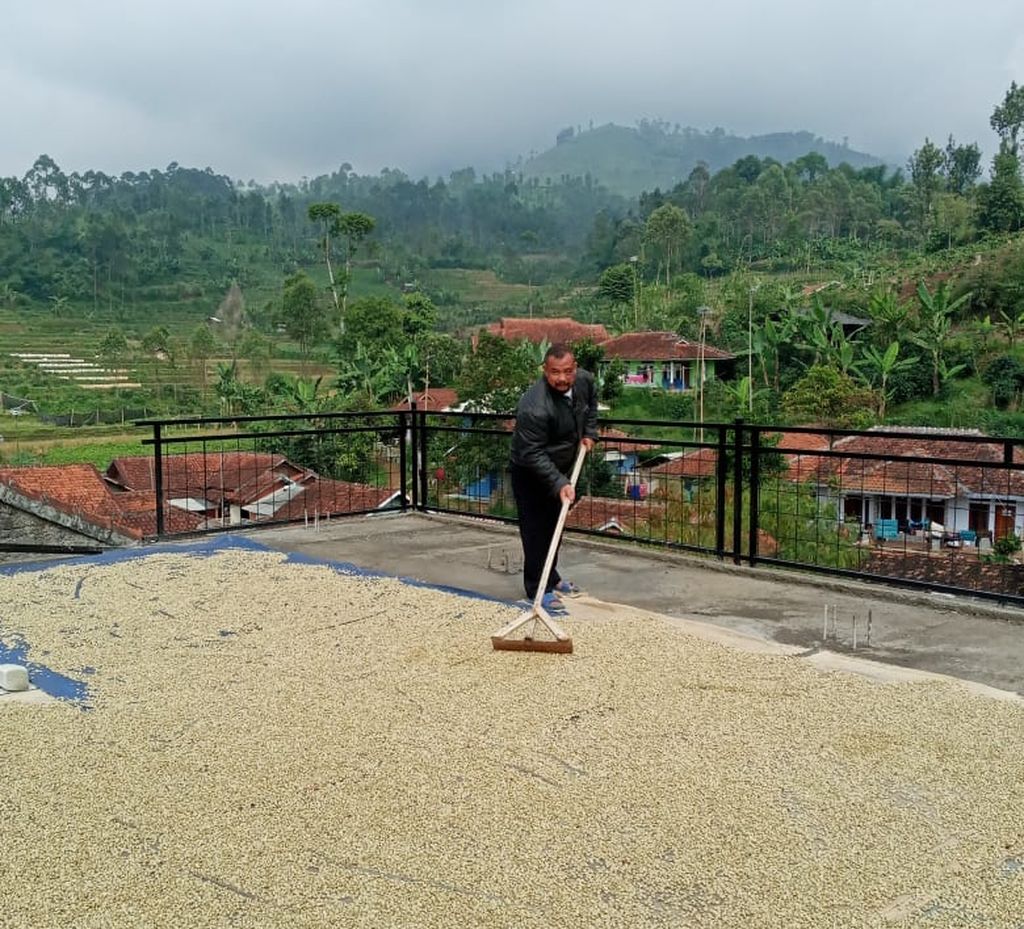Tampak Agus Asmara, salah satu petani kopi di daerah Ciwidey, Kabupaten Bandung, Jawa Barat. Agus akan memasarkan produk kopi luwak buatannya di Gedung Budaya Sabilulungan di Soreang, ibu kota Kabupaten Bandung, selama ajang Piala Dunia U-17 dari tanggal 11-21 November 2023.
