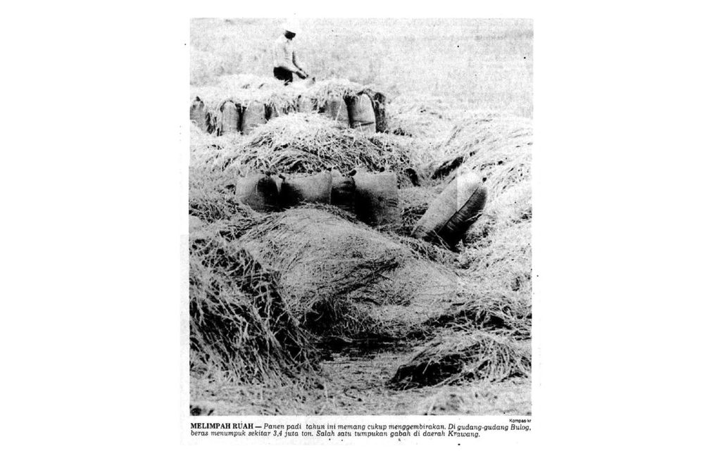 Foto utama <i>Kompas</i> edisi 29 Agustus 1985 ini menunjukkan tumpukan gabah hasil panen petani di Karawang, Jawa Barat. Panen padi tahun itu cukup menggembirakan, di gudang-gudang Bulog, beras menumpuk sekitar 3,4 juta ton. Produksi beras saat itu lebih tinggi dari konsumsi beras dalam negeri dan untuk pertama kali Indonesia mengekspor beras. 