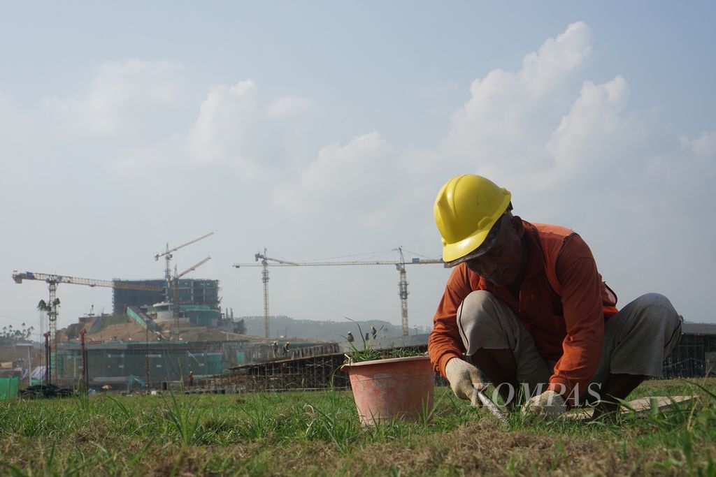 Syaiful (55), pekerja di Ibu Kota Nusantara (IKN), menanam rumput di area Ceremonial Lawn di area sumbu kebangsaan IKN, Minggu (29/10/2023).