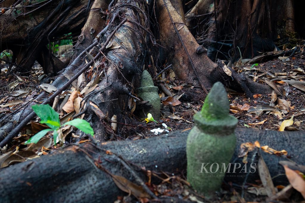 Sebuah nisan tua mulai terlilit akar pohon ara di hutan keramat Lubuk Lanjut, Pulau Rempang, Batam, Kepulauan Riau Jumat (6/9/2024). 