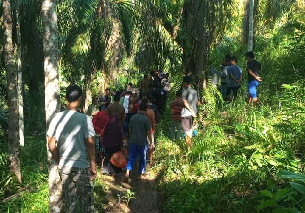 Warga menyaksikan proses evakuasi harimau sumatera oleh BKSDA Sumatera Barat di kebun sawit warga Kampung Maua Hilia, Jorong Kayu Pasak Timur, Nagari Salareh Aia, Kecamatan Palembayan, Agam, Sumbar, Selasa (11/1/2022).