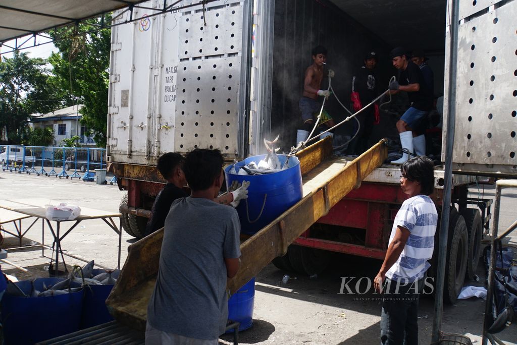Para pekerja membongkar ikan hasil tangkapan dari Kapal Motor Citra Express 11 berukuran 239 gros ton di Pelabuhan Perikanan Samudera Bitung, Sulawesi Utara, Jumat (20/10/2023), dan memuatnya ke peti kemas berpendingin untuk dibawa ke Jakarta. Sepanjang semester I-2023, sebanyak 21.100 ton ikan didaratkan di PPS Bitung.