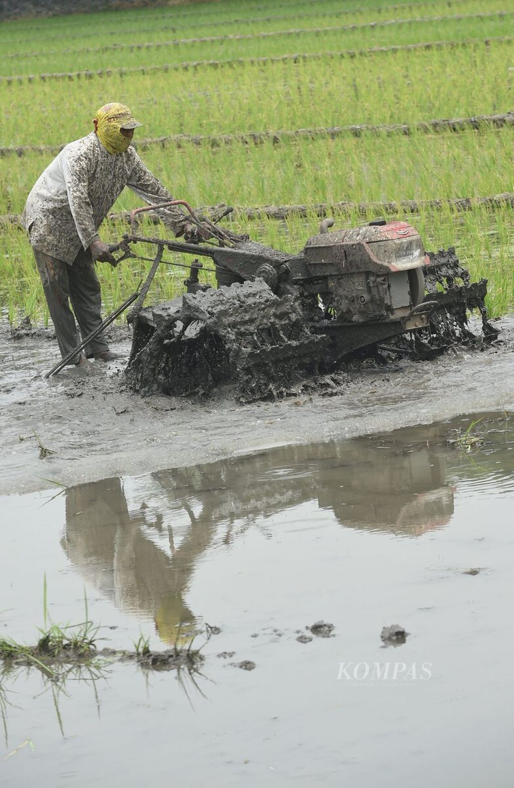 A farmer plows a field with a mini tractor in Buduran District, Sidoarjo Regency, East Java, Monday (5/9/2022). The increase in subsidized fuel prices makes the production cost of cultivating agricultural land rise.