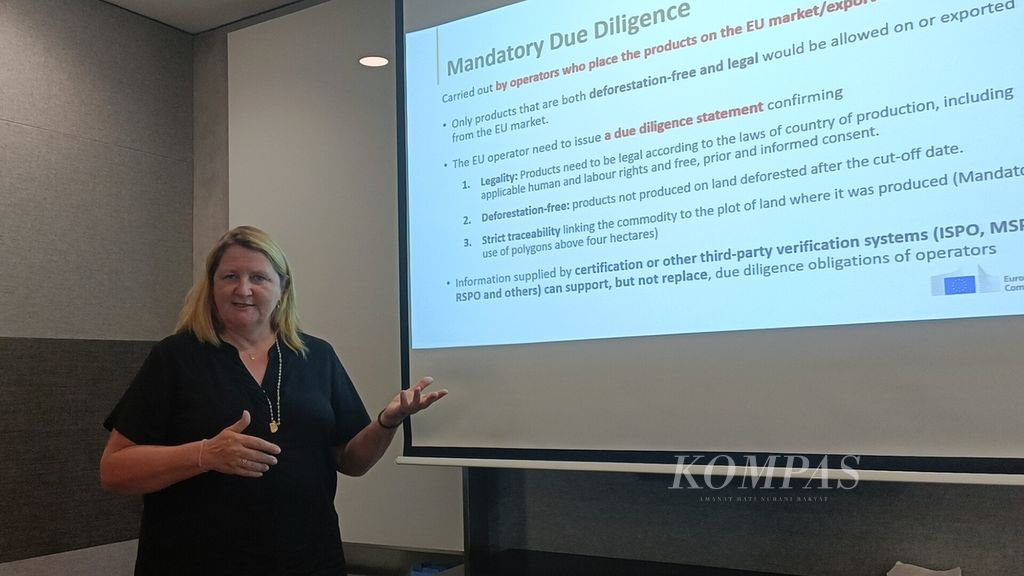 Environment, Climate Change, and Digital Counselor of the Delegation of the European Union to Indonesia and Brunei Darussalam, Henriette Faergemann, is currently explaining about the Deforestation-Free Products Law (EUDR) at the EU office in Jakarta on Thursday (24/8/2023).