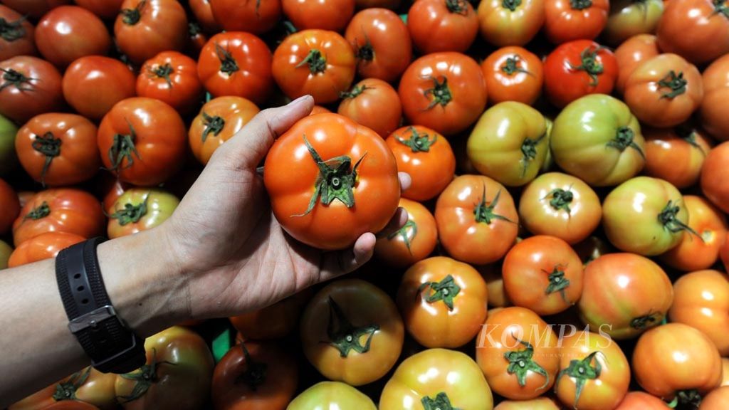 Tomat sayur dijual di supermarket Carrefour, Lebak Bulus, Jakarta, beberapa waktu lalu. Konsumsi sayuran dan buah yang cukup berperan untuk menjaga kesehatan tubuh, termasuk kesehatan kulit.