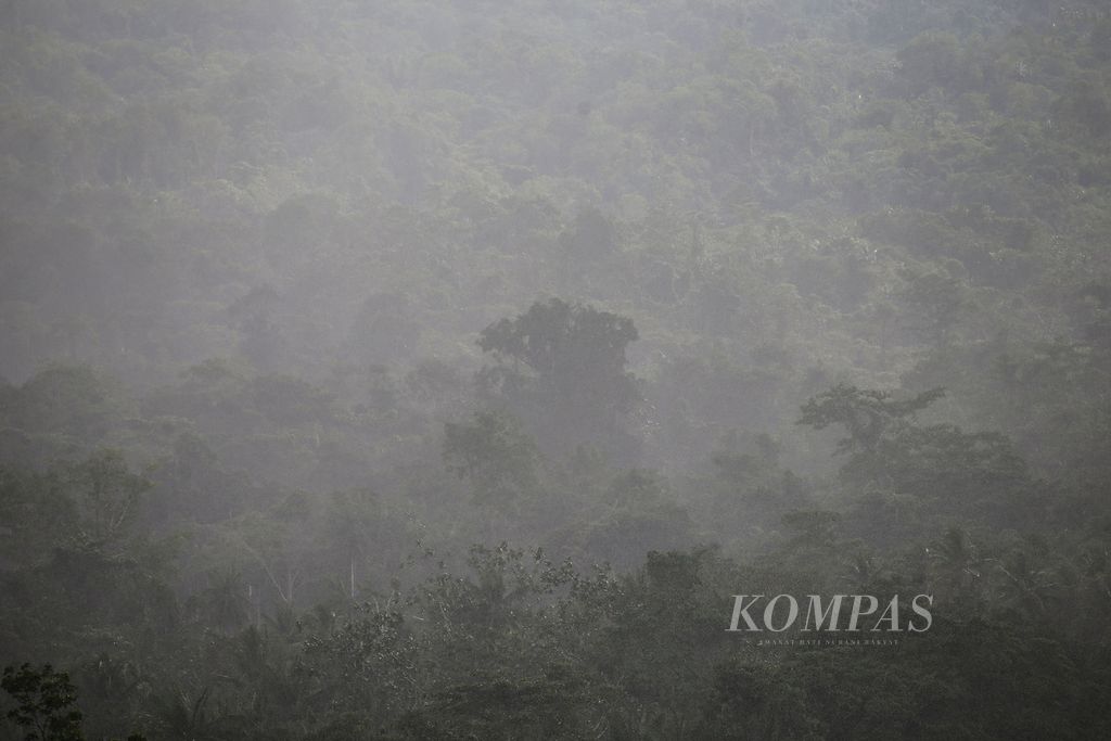 Kawasan hutan adat milik Kampung Aib, Distrik Kemtuk, Kabupaten Jayapura, Papua,  yang masih terjaga kelestariannya, Sabtu (4/12/2021).