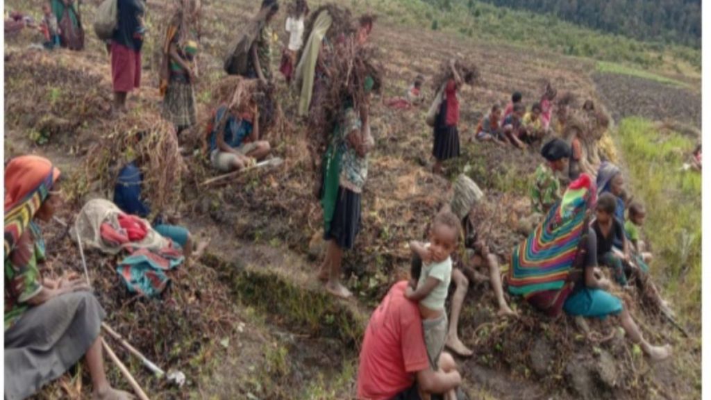 Ratusan warga Distrik Kuyawage, Kabupaten Lanny Jaya, Papua, mengalami kelaparan akibat tanaman pangan di kebun mereka mengalami kerusakan. Kondisi ini disebabkan fenomena alam embun beku sejak 1 Juni 2022.