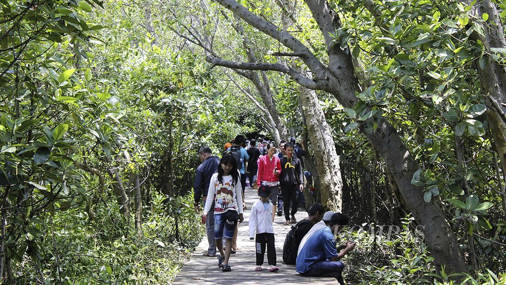 Sejumlah warga memanfaatkan hari libur dengan beraktivitas di lintasan jogging di Ekowisata Mangrove Wonorejo, Surabaya, Jawa Timur, Rabu (15/2). Selain untuk mengenal ekositem mangrove, warga juga datang untuk berwisata.